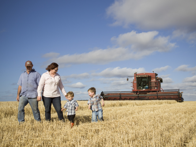 Family in paddock of wheat