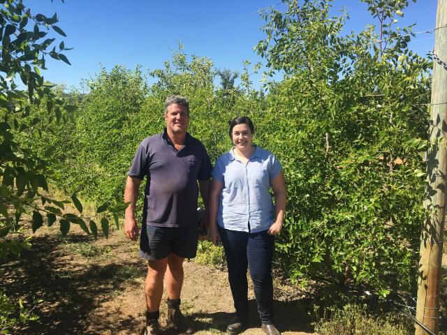 Department of Agriculture and Food (DAFWA) development officer Rachelle Johnstone with Manjimup jujube grower Travis Luzny in his orchard.