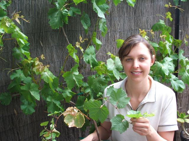 portrait of viticulture technical officer