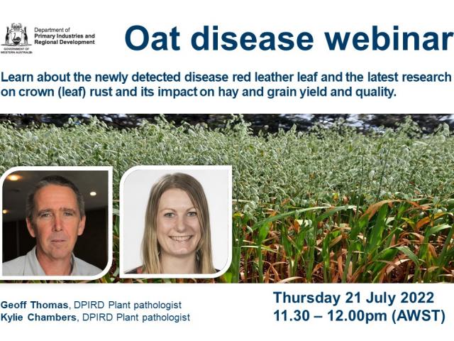 Oat disease webinar. DPIRD Guest presenters, DPIRD plant pathologists Geoff Thomas and Kylie Chambers