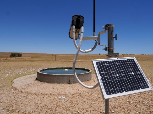 A remote camera mounted on a star picket facing a water trough