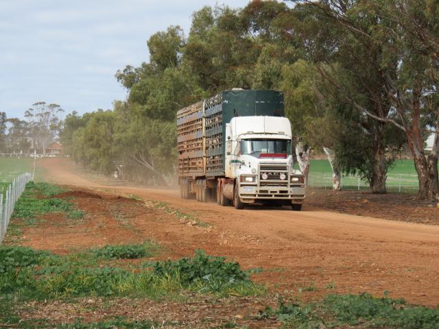 Truck driving along country road