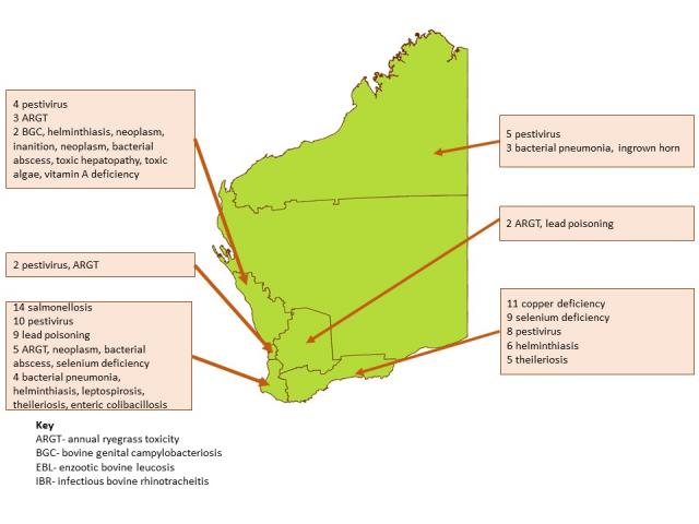 Common endemic disease diagnoses in cattle in 2020 by region