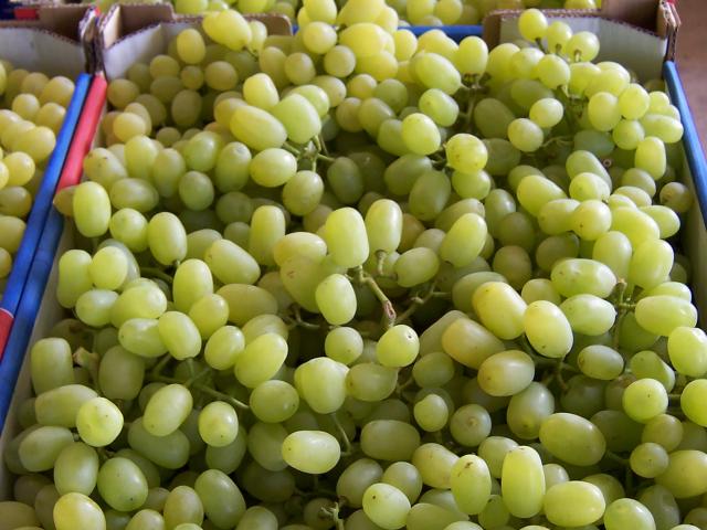 Box of table grapes