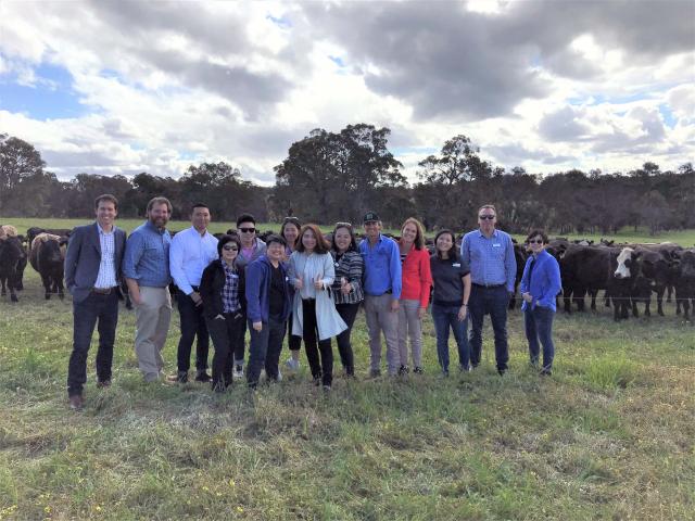 Farmers and asian buyers standing in a cattle pasture