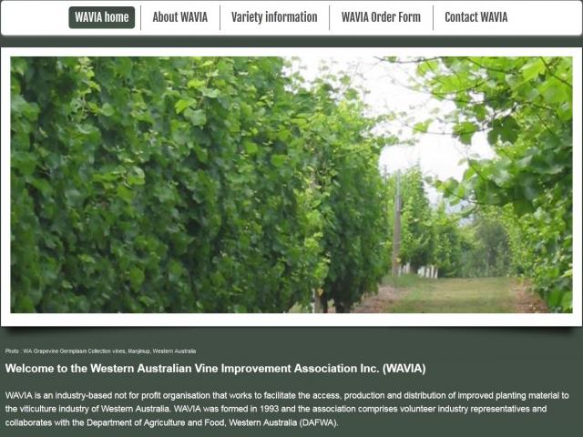 WAVIA website screen shot