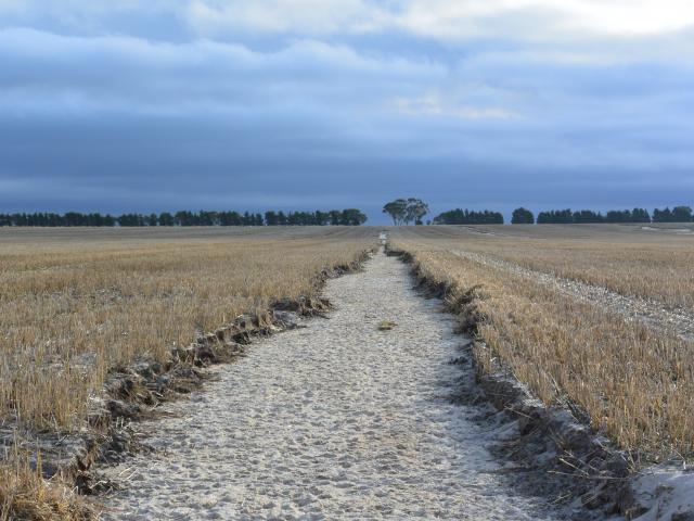 Paddock of stubble showing a channel of water erosion