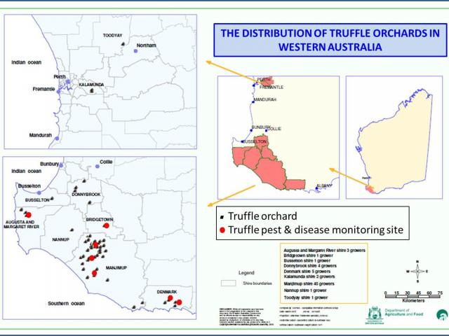 Location of truffle orchards in Western Australia and truffle pest and disease monitoring sites