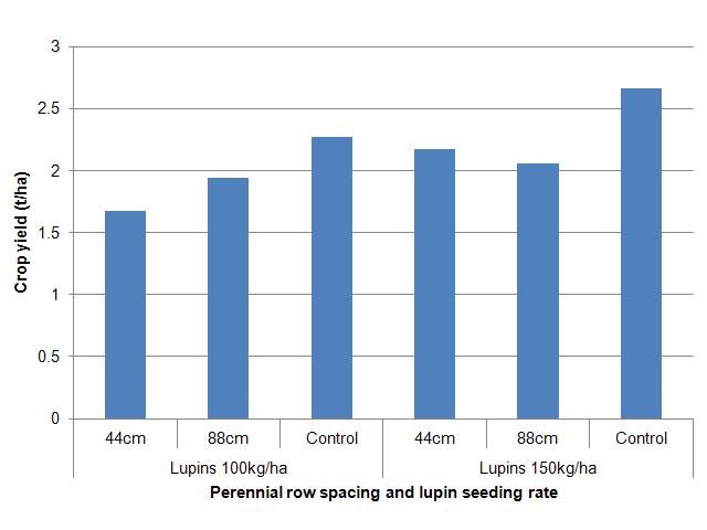 Graph showing increasing seeding rate from 100 to 150kg/ha increased grain yield across all treatments.