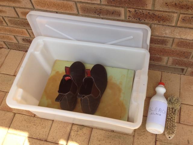 Work boots sitting in a large plastic tub alongside a scrubbing brush and bottle of bleach