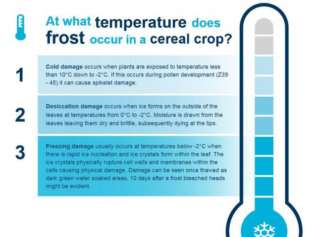 frost faqs infographic