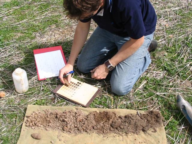 Photograph of person assessing soil in the field to determine soil classification