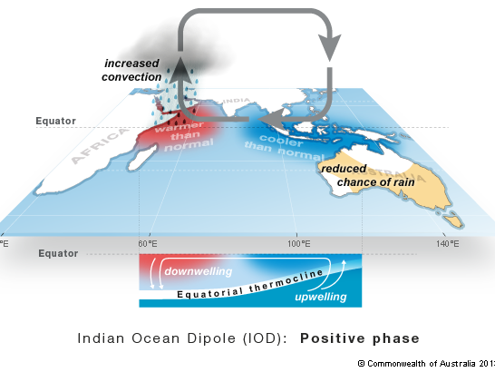 Diagram showing the positive phase of the Indian Ocean Dipole, warmer waters off Africa and cooler waters off north-west Australia. This results in reduced rainfall from May to November in some parts of Australia.