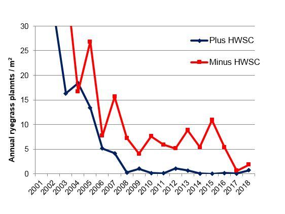 Graph focuses on the reduction of ryegrass numbers from 2005. In 2018, the Plus HWSC group averaged 0.725 ryegrass plants/m2 and the Minus HWSC group averaged 1.85 ryegrass plants/m2