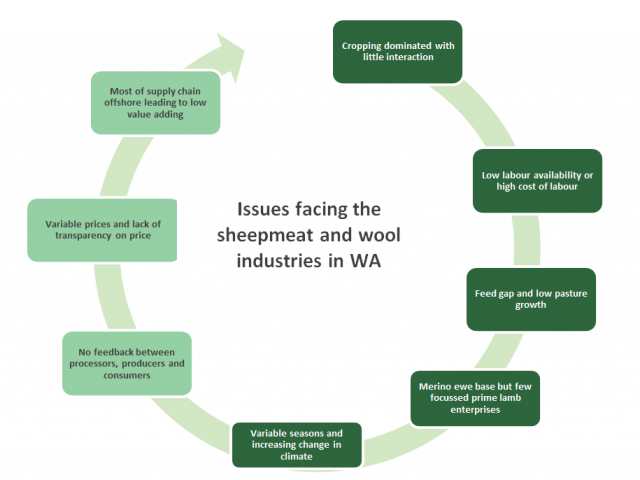 WA sheep issues: cropping dominated, low labour availability/high cost, feed gap and low pasture growth, merino-based but prime lamb focused, variable seasons, no feedback along supply chain, variable prices and most of supply chain offshore