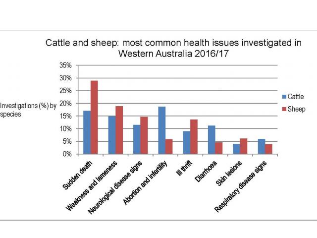 Chart: Common health issues investigated