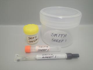 labelled sampling pots and swabs ready for sample collection