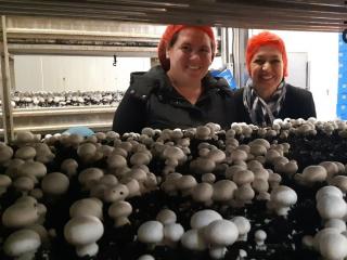 Two women wearing hairnets standing behind a tray of growing mushrooms
