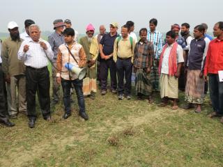 Group of Bangladeshi farmers and scientists in a paddock.