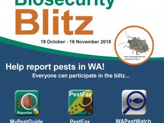 2018 Biosecurity Blitz promotion