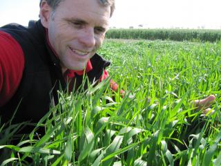 Department of Agriculture and Food senior research officer Blakely Paynter and his colleagues have undertaken research that shows malt barley quality is not compromised by higher seeding rates in medium to high rainfall areas.