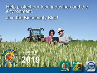 DPIRD's Biosecurity Blitz 19 October to 16 November 2019
