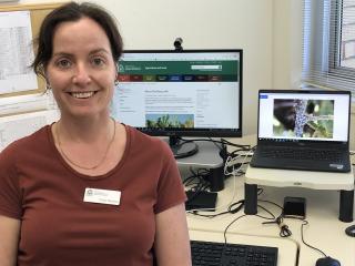 PestFacts WA team lead and editor Cindy Webster sitting in front of laptop and monitor