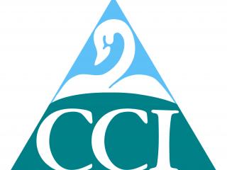 Chamber of commerce and industry logo
