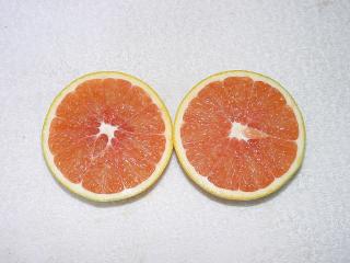 Cara Cara navel orange cut in half