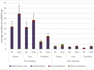 Average number of natural enemies per pitfall traps located near chaff (near) or away from chaff (far). Traps were in paddocks with HWSC systems of either dumps (Dump), chaff lining (Line) or chaff tram-lining (Tramline) and sampled at two different times