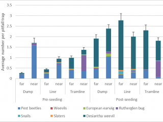 Average number of pests collected per pitfall trap. Traps were located  near chaff (near) or away from chaff (far) in paddocks with HWSC systems of either dumps (Dump), chaff lining (Line) or chaff tram-lining (Tramline)