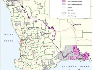 A map showing localities of surveillance for Russian wheat aphid and its presence/absence status