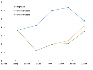 A graph showing feed on offer (t DM/ha) of kikuyu-based pasture at Kalgan in 2019 that was either ungrazed, or grazed for two or four weeks.
