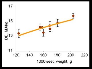 Table prediction digestibility energy content of Australian sweet lupins.