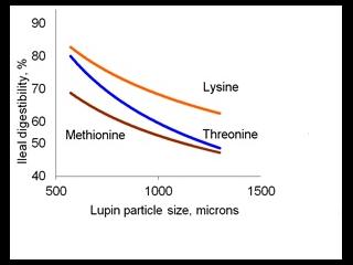 Figure 3 shows the effect lupin particle size has on apparent ileal digestibility of energy, nitrogen and amino acids.