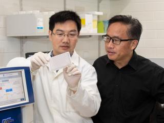 Two men in a laboratory looking at a small, plastic rectangle.