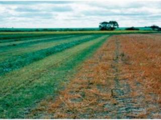 Hay cutting (left and brown manuring (right)