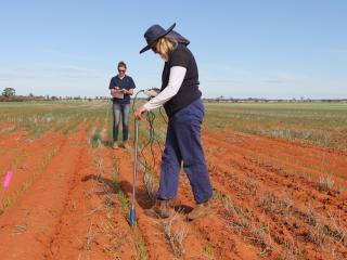 Two women in a dry paddock with a soil probe.