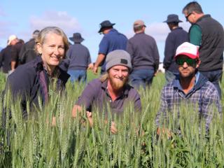 DAFWA’s Christine Zaicou-Kunesch with growers Tim Cream and Matt Morris, inspecting a dwarf wheat trial at the recent Mullewa Dryland Farming Initiative field day.