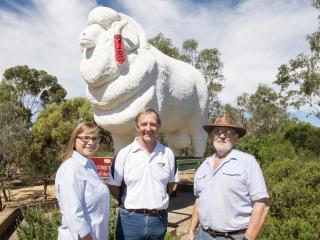Department of Agriculture and Food NLIS operations manager Beth Green, Wagin shire CEO Peter Webster and Wagin Woolorama Committee president Tony Baxter with ‘Bart’ the Wagin ram who now complies with NLIS requirements.