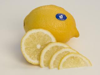 Half a lemon cut into slices with a full lemon behind.