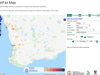 PestFax map displaying reports of native budworm caterpillars found in wheat crops during 2020.