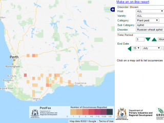 PestFax map displaying Russian wheat aphid reports received by the PestFax team in the past three months. Map current to: 15 July 2021.