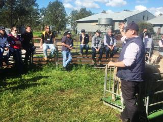 WA sheep producers hear from consultant Jason Trompf speaking at the Pooginook Merino Stud in Jerilderie, NSW.