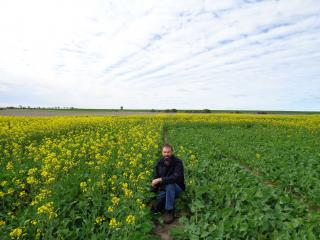 Department of Agriculture and Food research officer Martin Harries will discuss early sowing of canola at Grain Research Updates events at Perth and Merredin.
