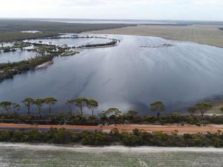 Landholders with areas that are susceptible to waterlogging (like this property near Lake King) due to recent rainfall have been warned to take action to mitigate the short and long term impact of salinity.