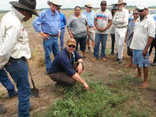 Part of this week’s Indigenous Cattleman’s workshop was a field pasture walk. David McLean from Resources Consulting Services with some of the workshop participants.