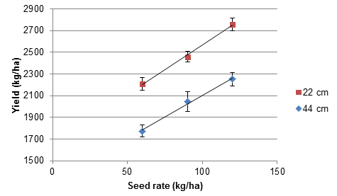 Yield results are graphed. The reduction in yield by wider row spacing and lower seed rates is discussed in text