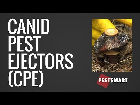 YouTube video - Caned Pest ejector