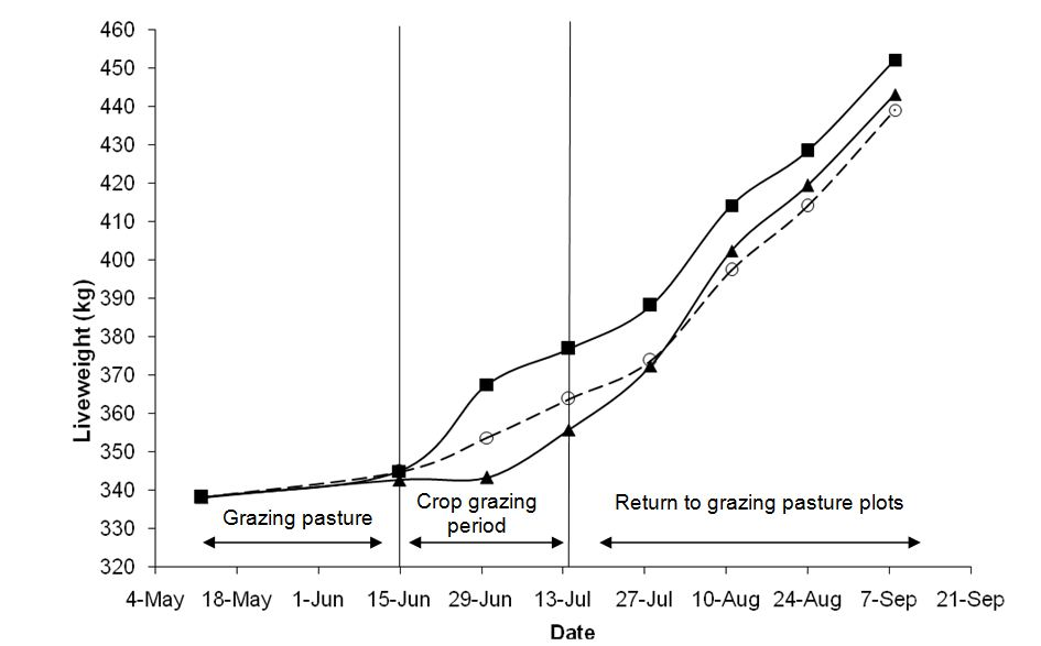Figure 1 Average liveweight (kg) of heifers grazing pasture, canola and cereals in the 13 week trial